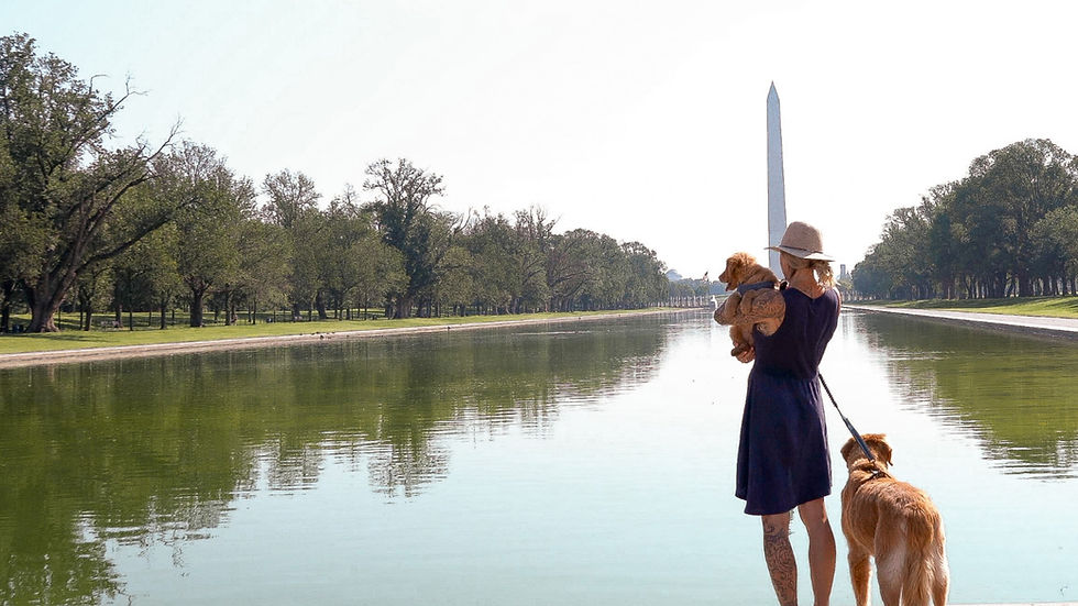 capital-pet-movers-pet-shipping-services-in-washington-dc-virignia-maryland-for-government