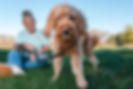 Shelli, pet care professional with Auntie Abby's Pet Care in Des Moines, IA