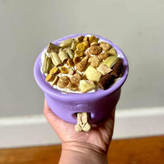 Purple pet treat dispenser toy offered as an enrichment item by Sasha & Co Pet Services in Winston-Salem, NC