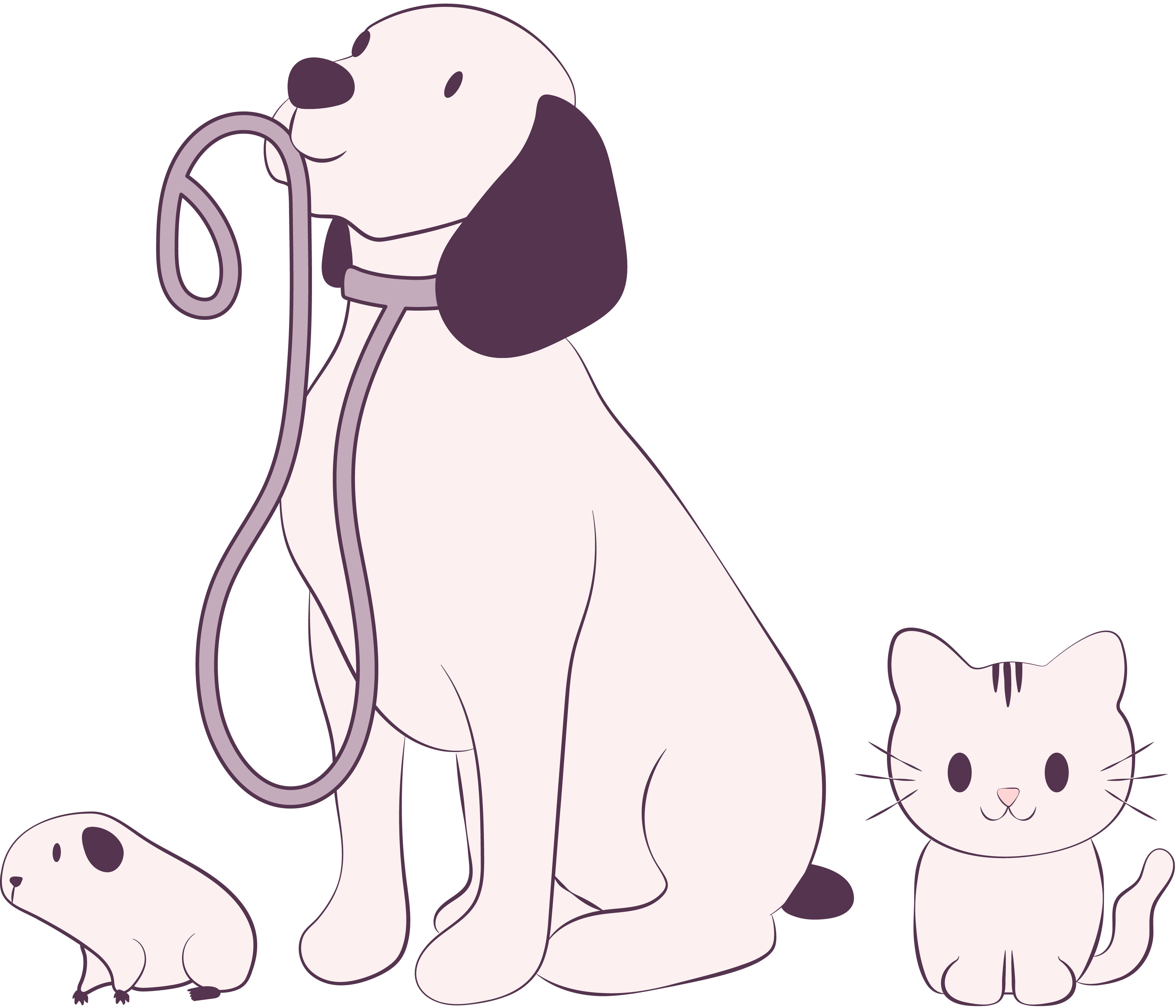 The Pet Lady, Ltd.