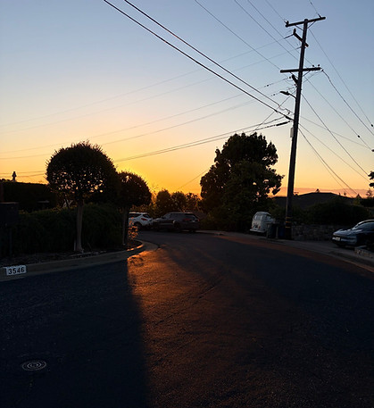 after- hours pet care sunset