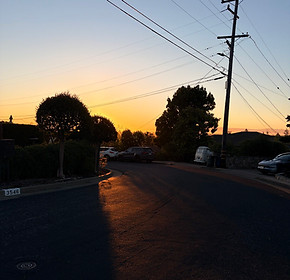 sunset for after-hours pet care in redwood city