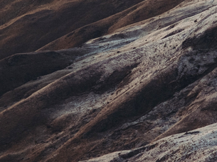 Microsoft Copilot or Another AI Product?