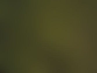 Ember's AI Research Update: Generative Reporting & Data Ingestion