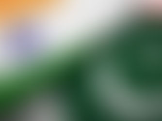 भारताच्या हवाई हल्ल्याच्या भितीने पाकिस्तानचा अमेरिकेला फोन