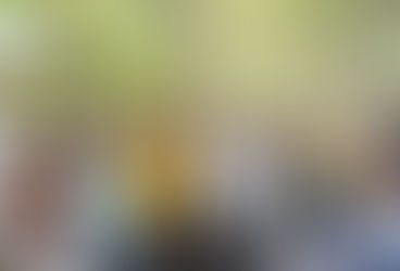 नाशिकच्या तपोवन वृक्षतोड प्रकरण; नाशिकमधील पर्यावरण प्रेमी संतापले नितश राणेंना बकरी आणि वृक्षामधला फरक कळतो का?