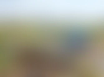 तार चोरायल भिडले, अन् टॉवर कोसळून जीवानिशी गेले टॉवर कोसळून दोघांचा मृत्यू; केज येथील घटना