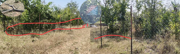 वनविभागाच्या घनवनाची सुरक्षा कुंपनाची जाळी गायब ! बिडच्या शिरुर कासार तालुक्यातील चित्र; घनवनतील झाडांवर कुर्हाड, चराईला रान मोकळं