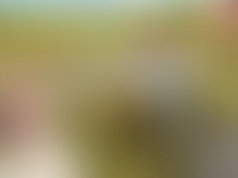 महाराष्ट्राला ऐन दिवाळीत अमित शहांकडून मदतीचा हात!