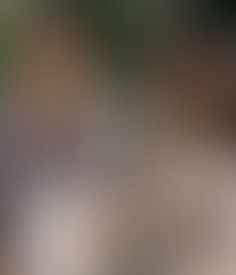 कॉक्रोच जनता पार्टीची पुढील भूमिका ठरणार!; सीजेपीची टीम छत्रपती संभाजीनगरात दाखल