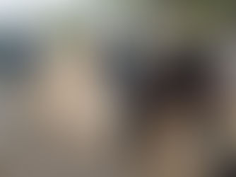 सीजेपी प्रवक्ता अशुतोष रांका यांच्यावर राजस्थानच्या जयपूरमध्ये हल्ला