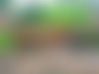 राणीच्याबागेत आणखी एका वाघाचा मृत्यू; महापालिका , प्राणिसंग्रहालय प्रशासनाने दोन महिने लपवली माहिती 