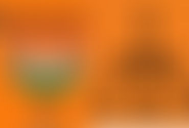 भाजपचा शिंदे गटाला आणखी मोठा धक्का; शिवसेना मंत्र्याचा संताप