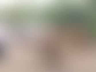 जालन्यात पोलिस अधिकार्याची आंदोलनकर्त्याच्या कमरेत फिल्मीस्टाईल लाथ