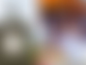 रायगडावरचा वाघ्या कुत्रा फेकून द्या; उदयनराजे भोसले संतापले, म्हणाले ही ब्रिटीशांची कुत्री