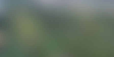 नाशिकमधील तपोवन वृक्षतोड प्रकरण; भाजपची चोहूबाजूने कोंडी!