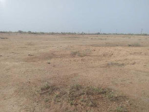 बीड मध्ये चालंलय तरी काय?गावगुंडाकडून शेती बळकावण्याचा प्रयत्न, शेतकरी भयभित