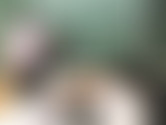 माजी जिल्हाधिकार्यांनंतर आता बीडच्या शिक्षणाधिकार्यांनाही अटक होणार?