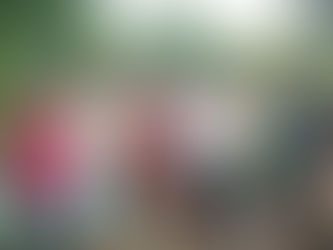 वादळी वाऱ्यासह मुसळधार पावसाचा कहर वणई गावात घर कोसळले