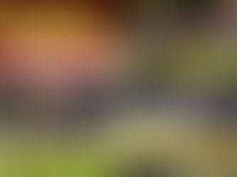 फ्लोरिडा विद्यापीठात अचानक गोळीबार दोघांचा मृत्यू