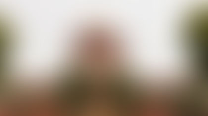 सुप्रीम कोर्टाकडून नागपूर खंडपीठाचा आदेश कायम; आदेशात तीन तारखांचा उल्लेख