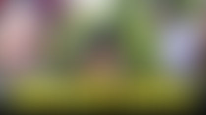 उपमुख्यमंत्री अजित पवारांची आयपीएस महिला अधिकार्यास ‘दादागिरी’