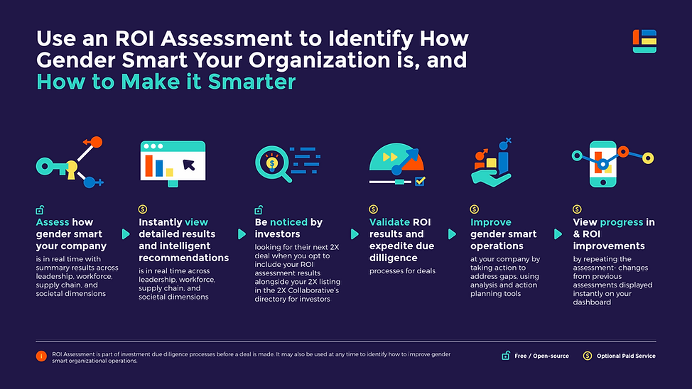 3-Use an ROI Assessment to Identify How Gender Smart Your Organization is, and How to Make
