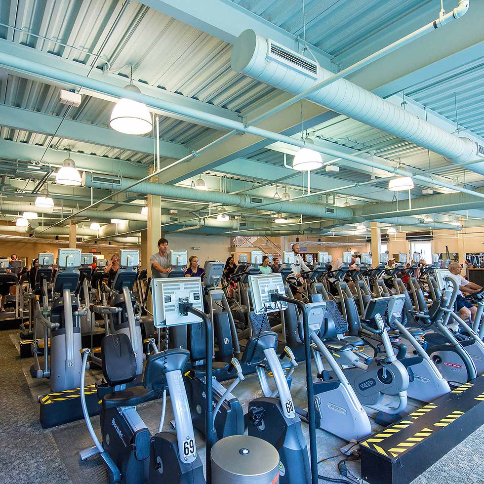 Cardio Equipment