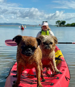 A smiling person in a kayak with a dog