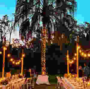 Garden cafe setup with lights strung along two long tables and lights around a palm tree