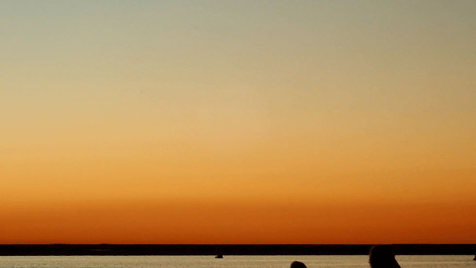 Silhouettes of two pelicans stand in calm water at sunset, under a gradient sky of orange to blue, creating a serene and peaceful mood.