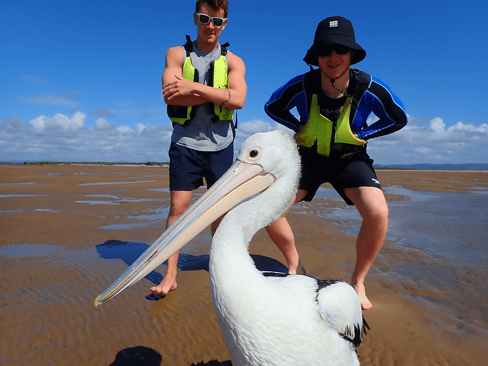 Two people in life jackets and hats pose with a pelican on a sandy beach. Blue sky and water patches create a cheerful scene.