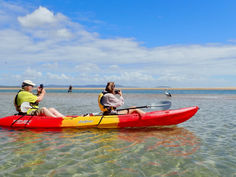 Two paddler in a red double kayak taking photos of a pelican