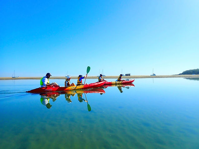 Family-friendly kayak tour with 1770 Liquid Adventures – parents and kids paddling calm Round Hill Creek in the Town of 1770