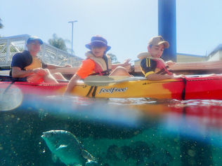 Image of half below and half above water. Fish below and kayakers on top part of image