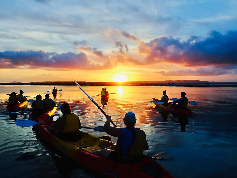 Group kayaking on calm water during sunset in the Town of 1770, Queensland.jpeg