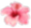 AlohaHawaii_13.png