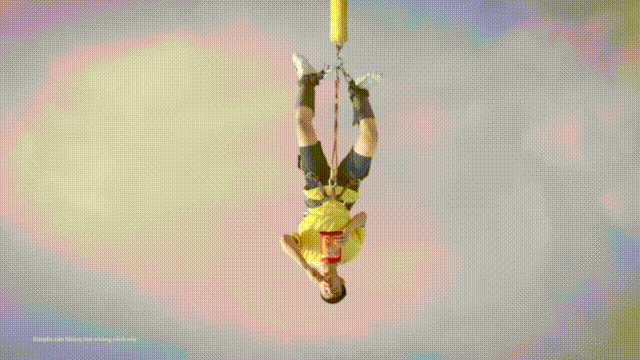 bird.gif