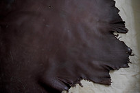 image_72192707.JPG