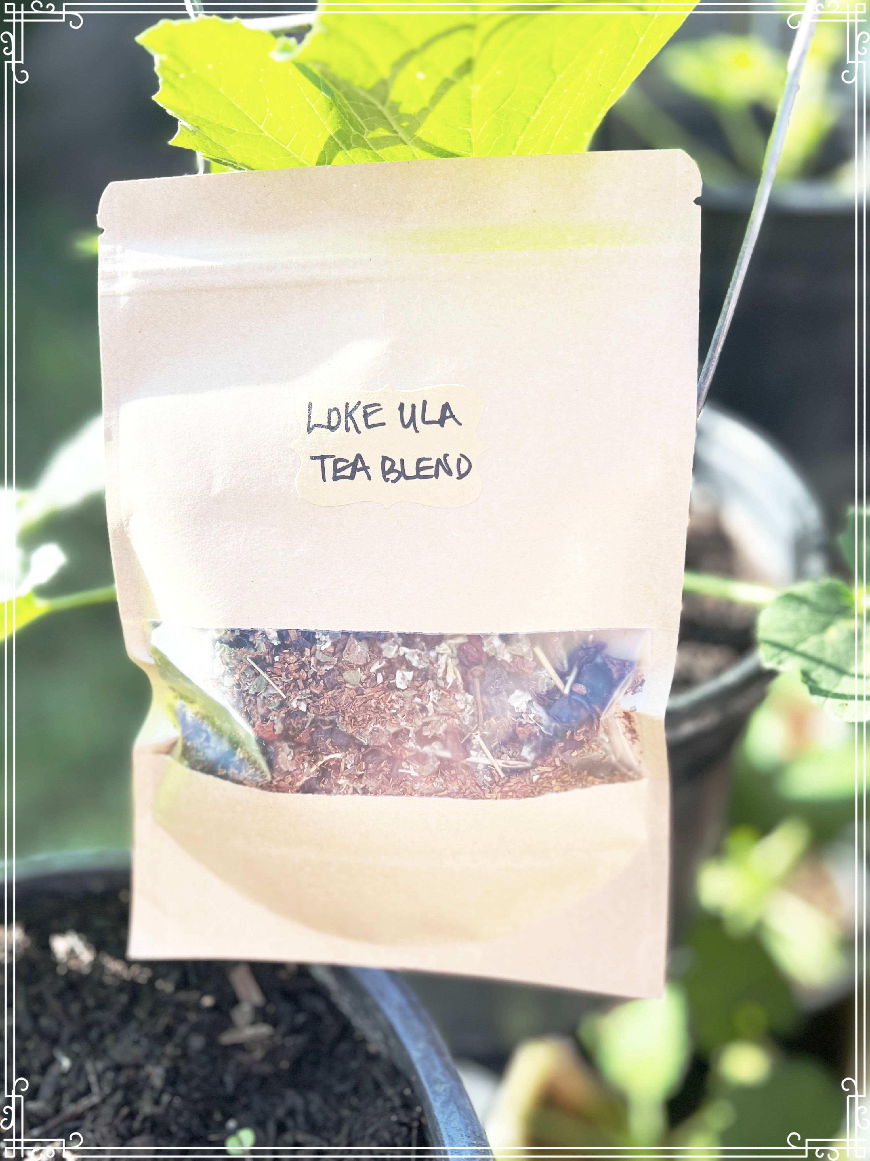 Loke Ula/Rose hip, Red Raspberry , Red Rooibos