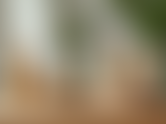 Découvrez les avantages des cosmétiques naturels pour cheveux