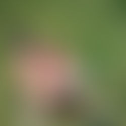 Summer Reading List for Black Girls