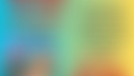 From Bunny Hunts to Big Impact: What Your Support Makes Possible