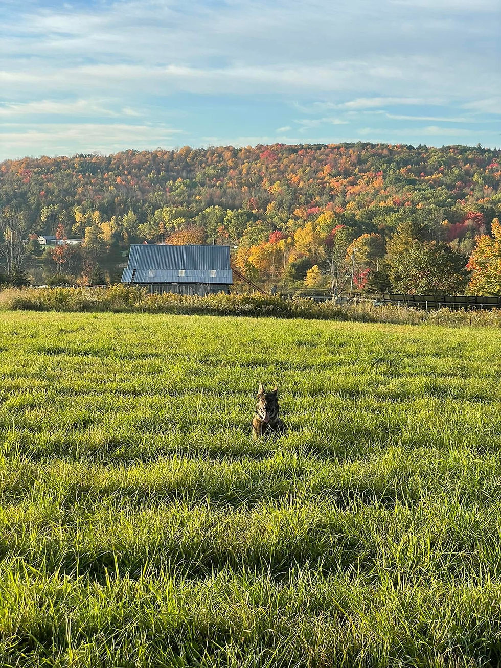 Let us know what you love about living here in our area. Send us your favorite local fall photo and it may be included in our next calendar!