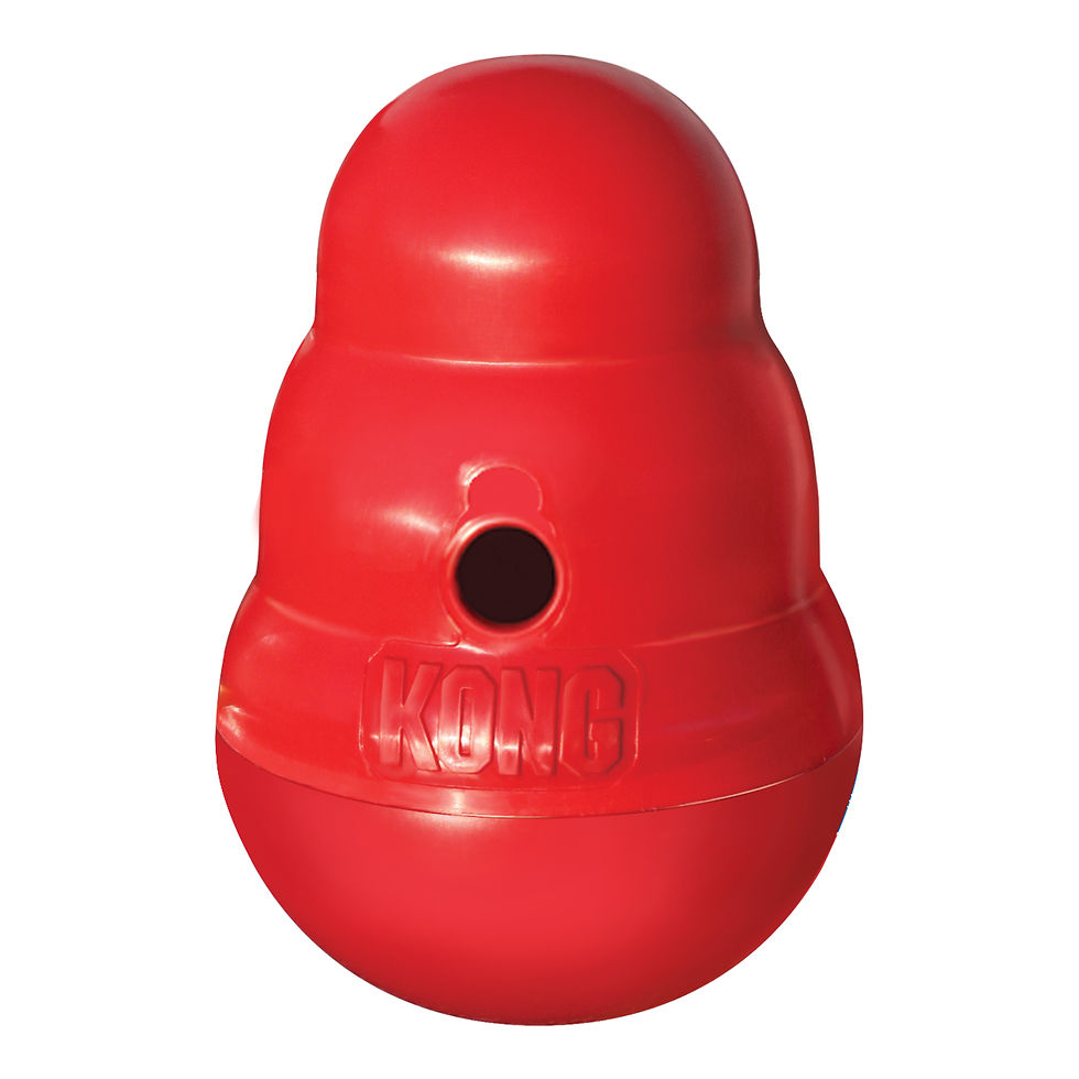 KONG Red Wobbler Treat Toy (S,L) PW1.MAI