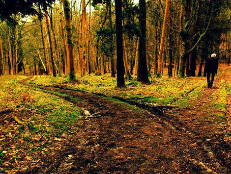 Ηγεσία στην Αβεβαιότητα: Συνδυάζοντας Frost και Καβάφη