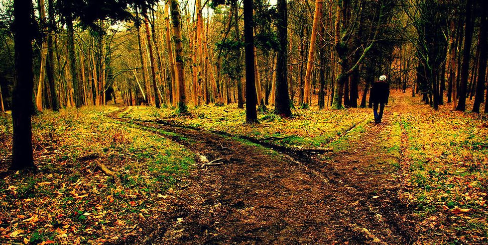 Ηγεσία στην Αβεβαιότητα: Συνδυάζοντας Frost και Καβάφη