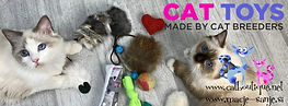 CATTOYS.jpeg