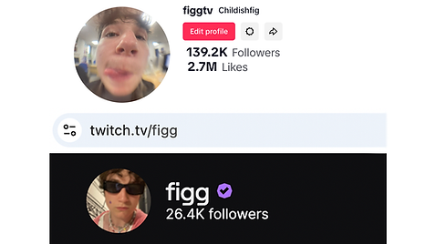 figg v2 website.png