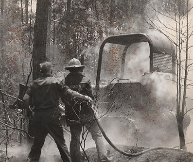 woods fire.jpg
